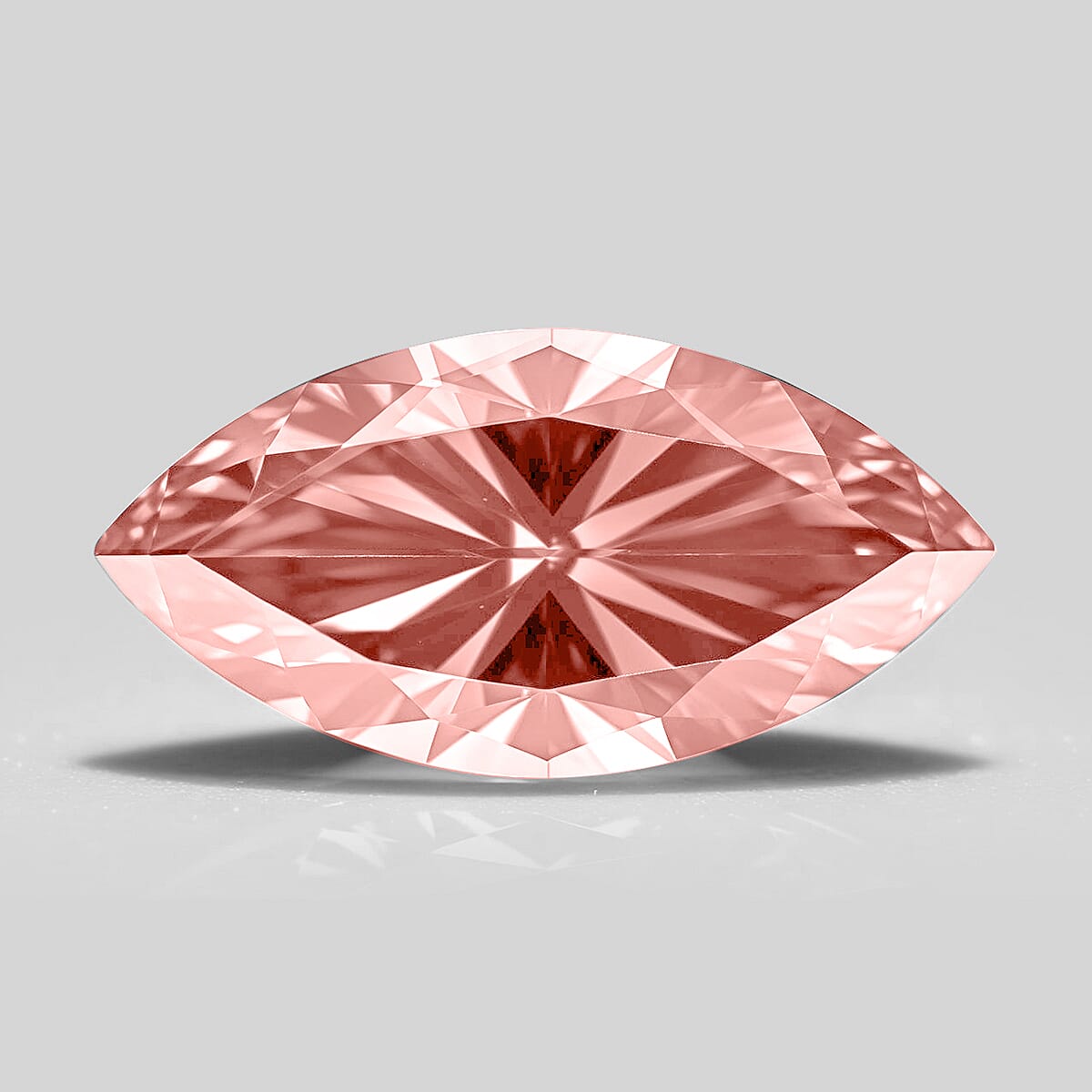 Default Title - Product card gallery slide 2 (9432465375487)