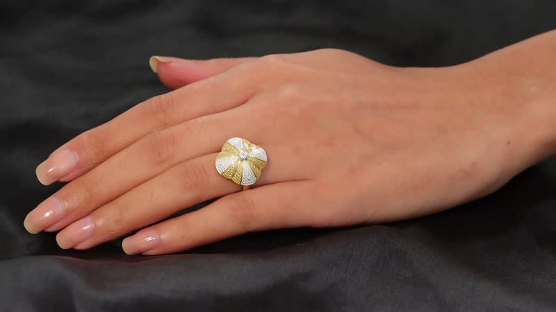 White Diamond Accent Fancy Ring in 18K YG Plated and Platinum Bond