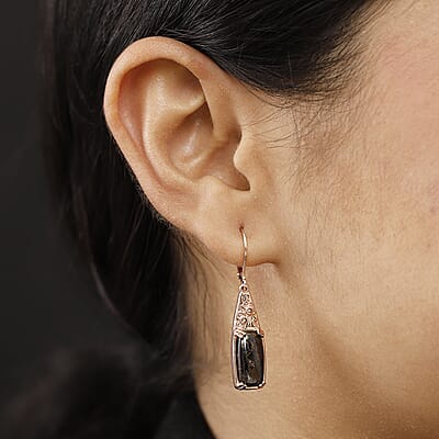 Karis Matrix Silver Shungite 5.60 ctw Solitaire Lever Back Earrings in 18K RG Plated
