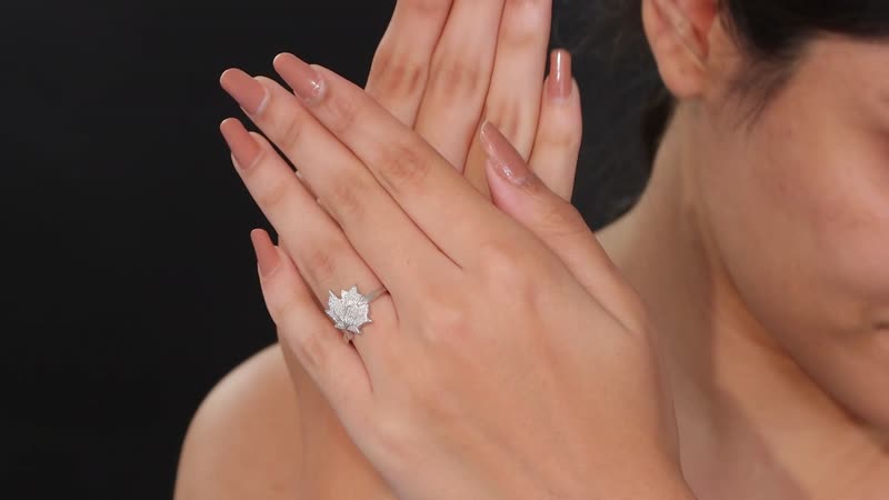 Karis Diamond Accent Ring in Platinum Bond (Size 10.0)