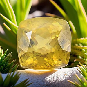 AAAA Sava Sphene (Cush 8x8 mm) 3.00 ctw