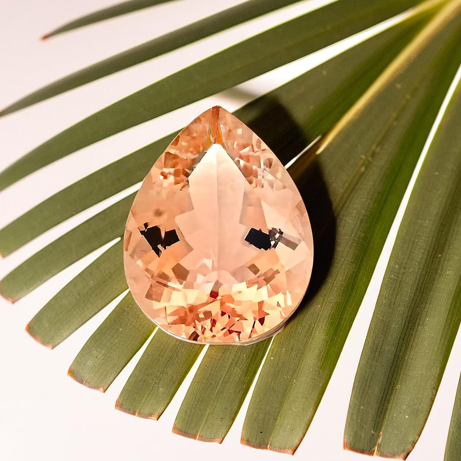 Default Title - Product card gallery slide 2 (10145836892443)