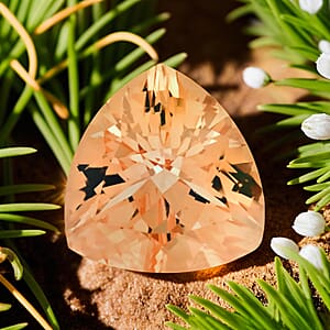 Certified & Appraised AAAA Marropino Morganite (Trl 14 mm) 7.00 ctw