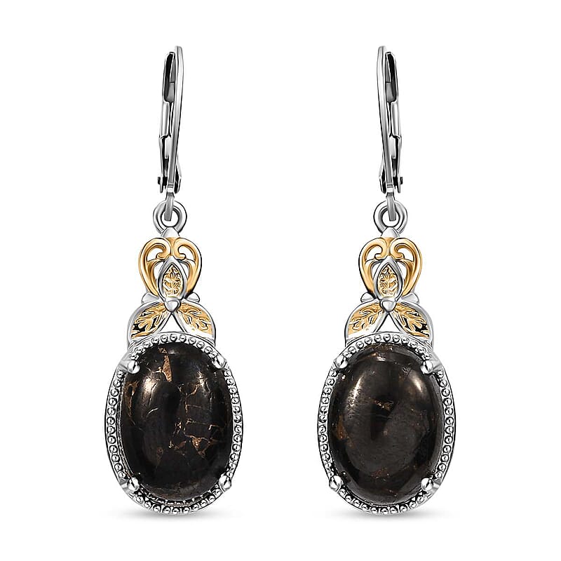 Matrix Silver Shungite 8.30 ctw Earrings in 14K YG and Platinum Over Copper with Magnet