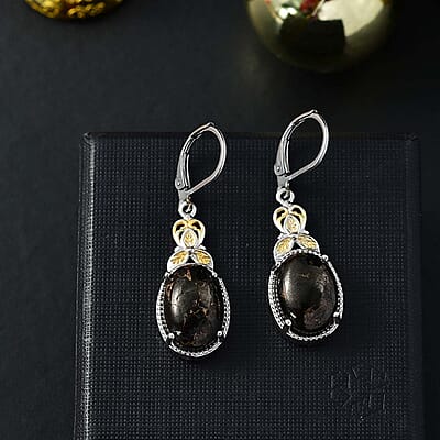 Matrix Silver Shungite 8.30 ctw Earrings in 14K YG and Platinum Over Copper with Magnet