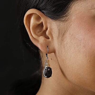 Matrix Silver Shungite 8.30 ctw Earrings in 14K YG and Platinum Over Copper with Magnet