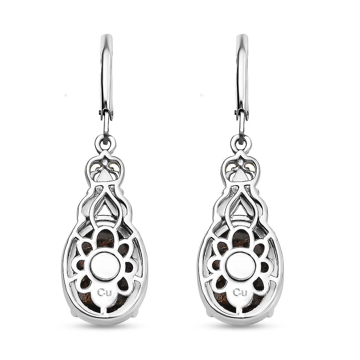Matrix Silver Shungite 8.30 ctw Earrings in 14K YG and Platinum Over Copper with Magnet