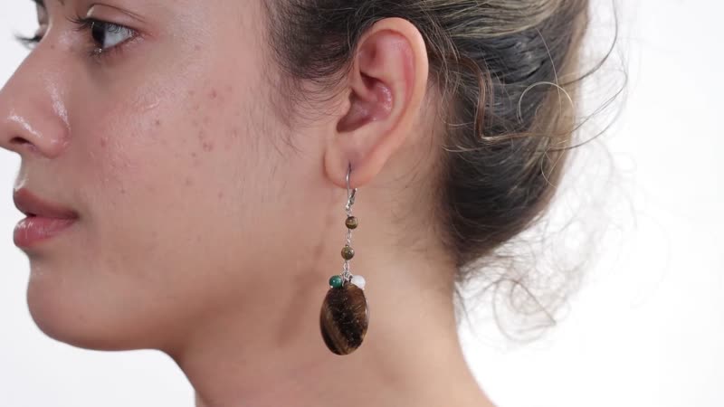 Tigers Eye and Multi Gemstone 54.40 ctw Earrings in Stainless Steel
