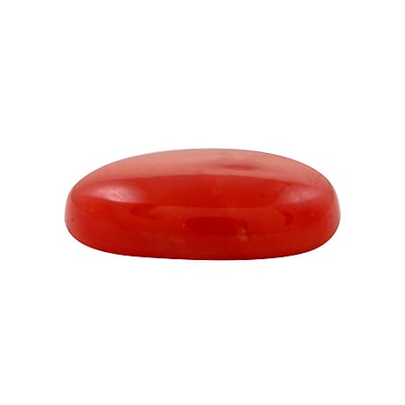 Default Title - Product card gallery slide 2 (10177747222841)