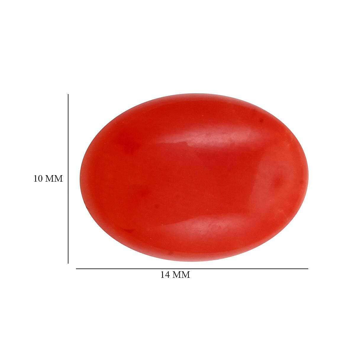 Default Title - Product card gallery slide 3 (9432516460799)