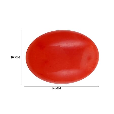 Default Title - Product card gallery slide 3 (10177747222841)