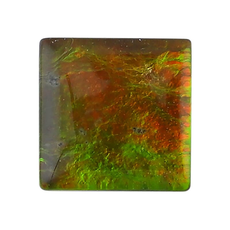 Plain Cut AAAA Canadian Ammolite (Sqr 7 mm) 1.30 ctw