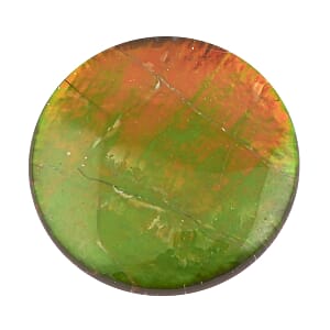 Plain Cut AAAA Canadian Ammolite (Rnd 8 mm) 1.30 ctw