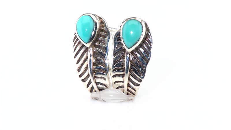 D'Joy Indian Artisan Crafted Sleeping Beauty Turquoise 1.10 ctw Feather Earrings in Black Oxidized Sterling Silver
