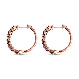 D'Joy AAA Radiant Ember Garnet and Tsavorite Garnet 3.10 ctw Petals Vine Earrings in 18K Vermeil Rose Gold Over Sterling Silver