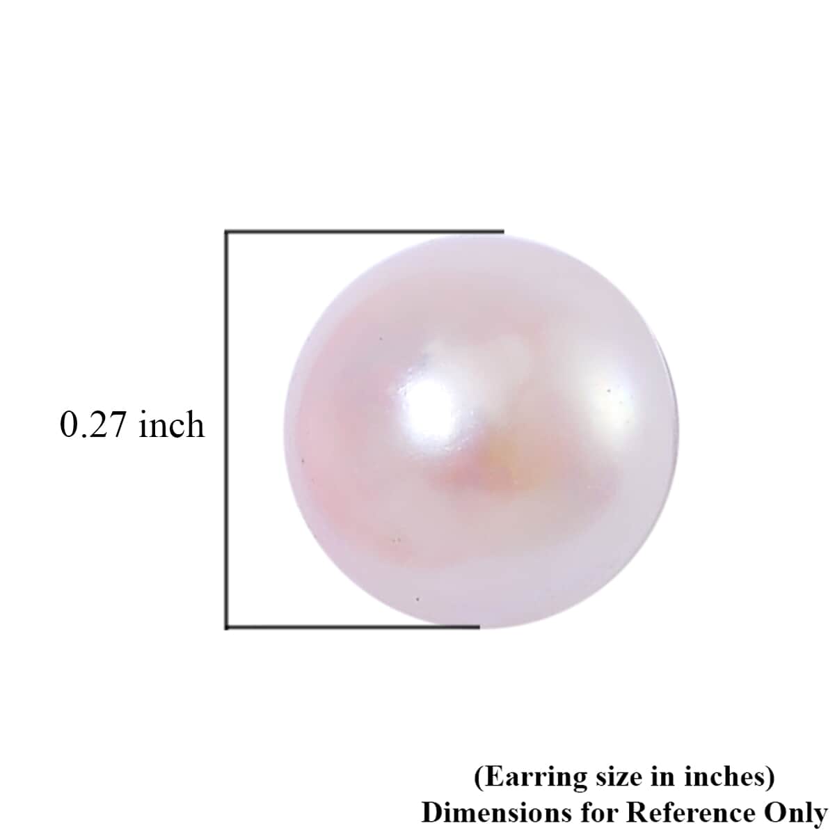 Japanese Akoya Pearl 7-8mm Stud Earrings in Rhodium Over Sterling Silver image number 5