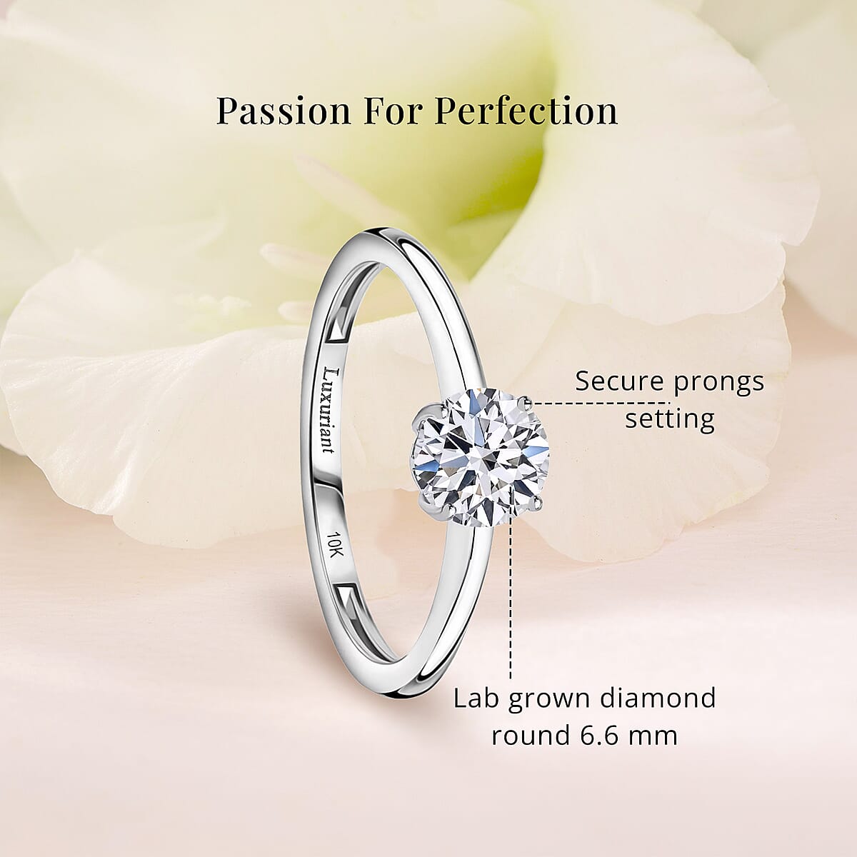 Luxuriant Lab Grown Diamond E-F VS 1.00 ctw Solitaire Ring in 10K White Gold (Size 9.0) image number 5