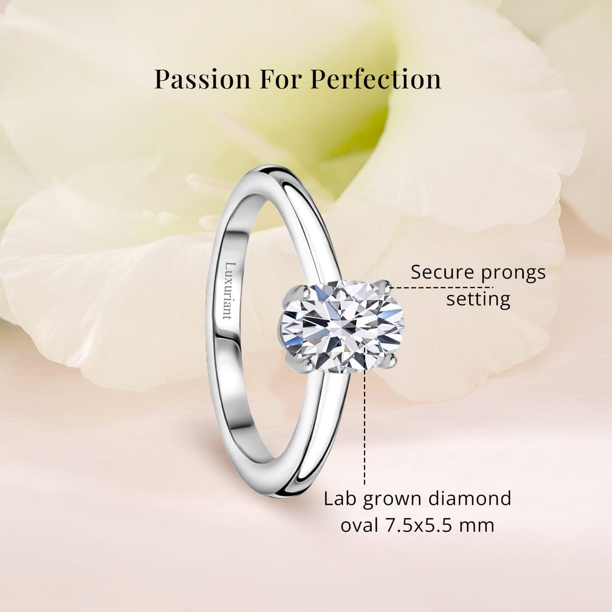 Luxuriant Lab Grown Diamond E-F VS 1.00 ctw Solitaire Ring in 10K White Gold (Size 10.0) image number 5