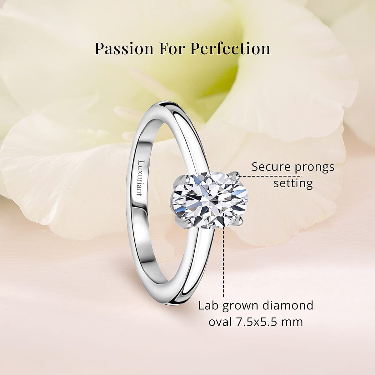 Luxuriant Lab Grown Diamond E-F VS 1.00 ctw Solitaire Ring in 10K White Gold (Size 8.0) image number 5