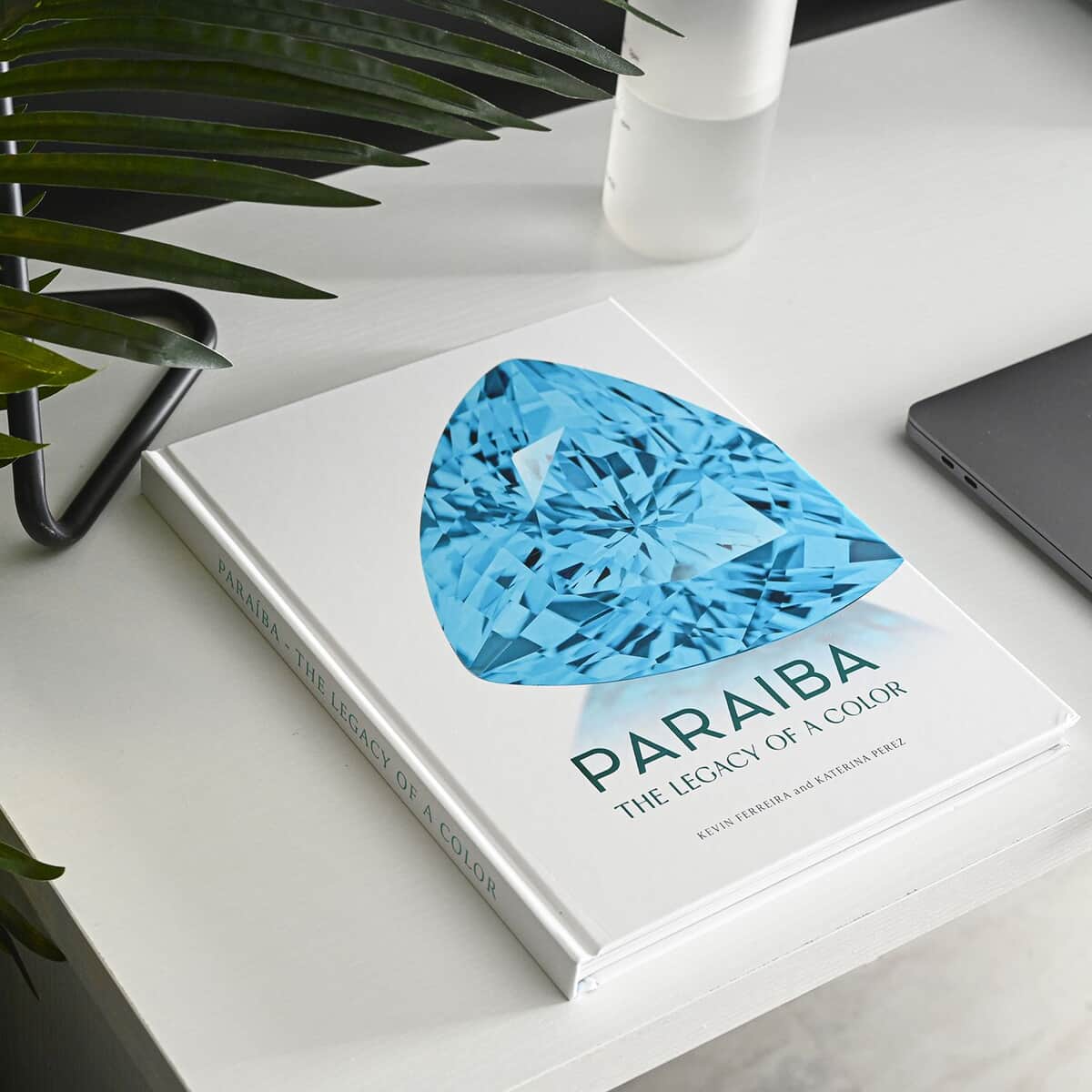 PARAIBA COFFEE TABLE BOOKLET image number 1