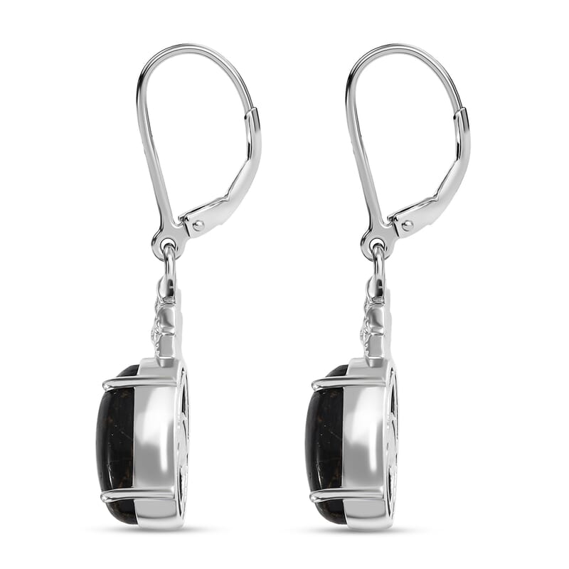 Matrix Silver Shungite 4.30 ctw Lever Back Earrings in Platinum Over Copper with Magnet