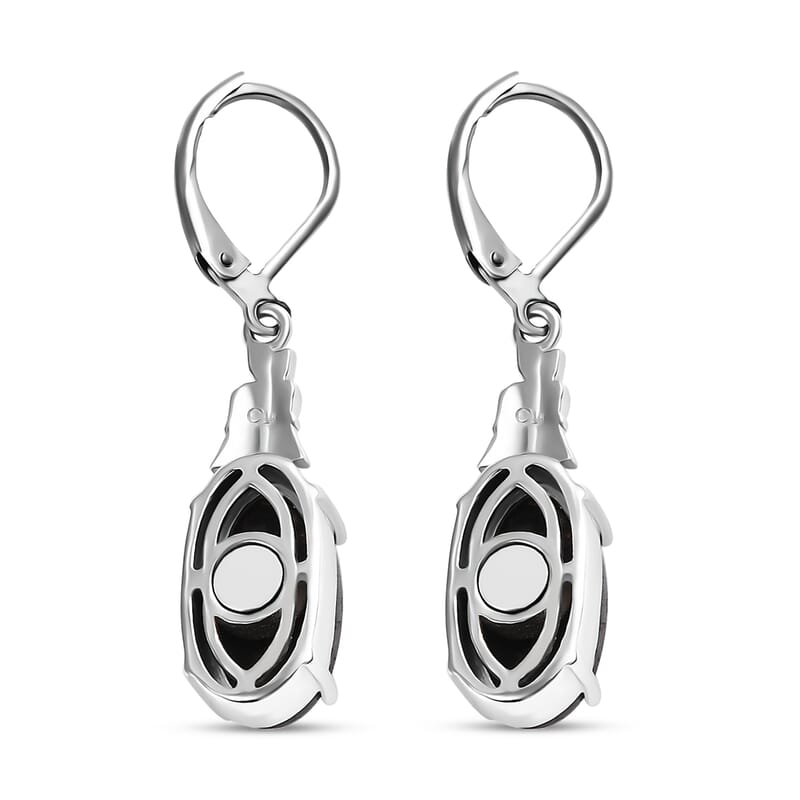 Matrix Silver Shungite 4.30 ctw Lever Back Earrings in Platinum Over Copper with Magnet