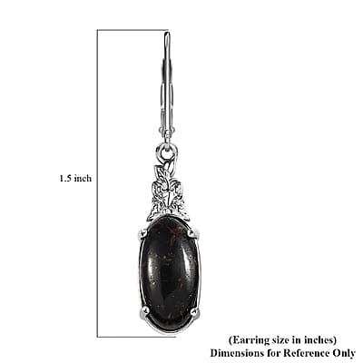 Matrix Silver Shungite 4.30 ctw Lever Back Earrings in Platinum Over Copper with Magnet