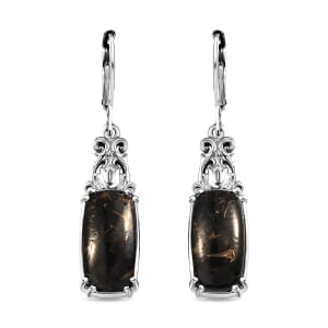 Matrix Silver Shungite 5.20 ctw Lever Back Earrings in Platinum Over Copper with Magnet