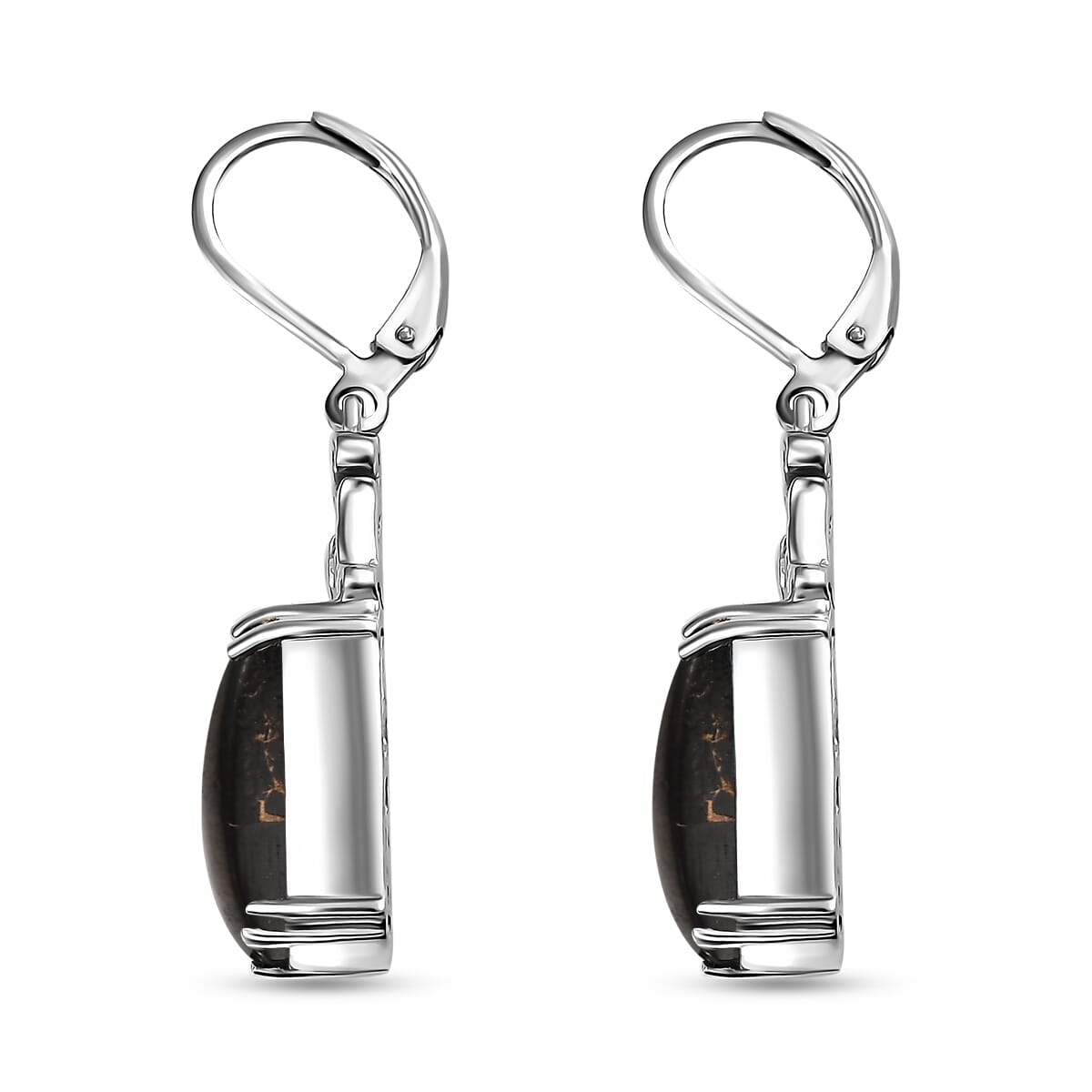 Matrix Silver Shungite 5.20 ctw Lever Back Earrings in Platinum Over Copper with Magnet image number 3