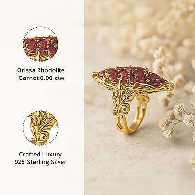 D'Joy Orissa Rhodolite Garnet 6.00 ctw Crimson Bloom Ring in 18K Vermeil Yellow Gold Over Sterling Silver (Size 10.0)