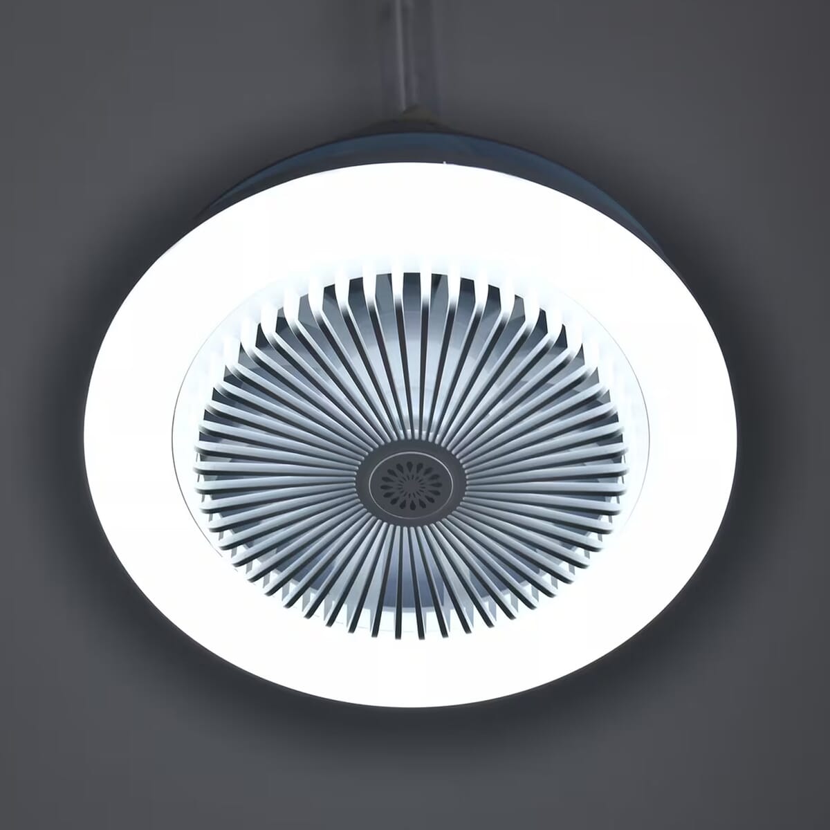 2-in-1 Ceiling Fan Light with Universal Lamp Holder and Remote Control image number 1