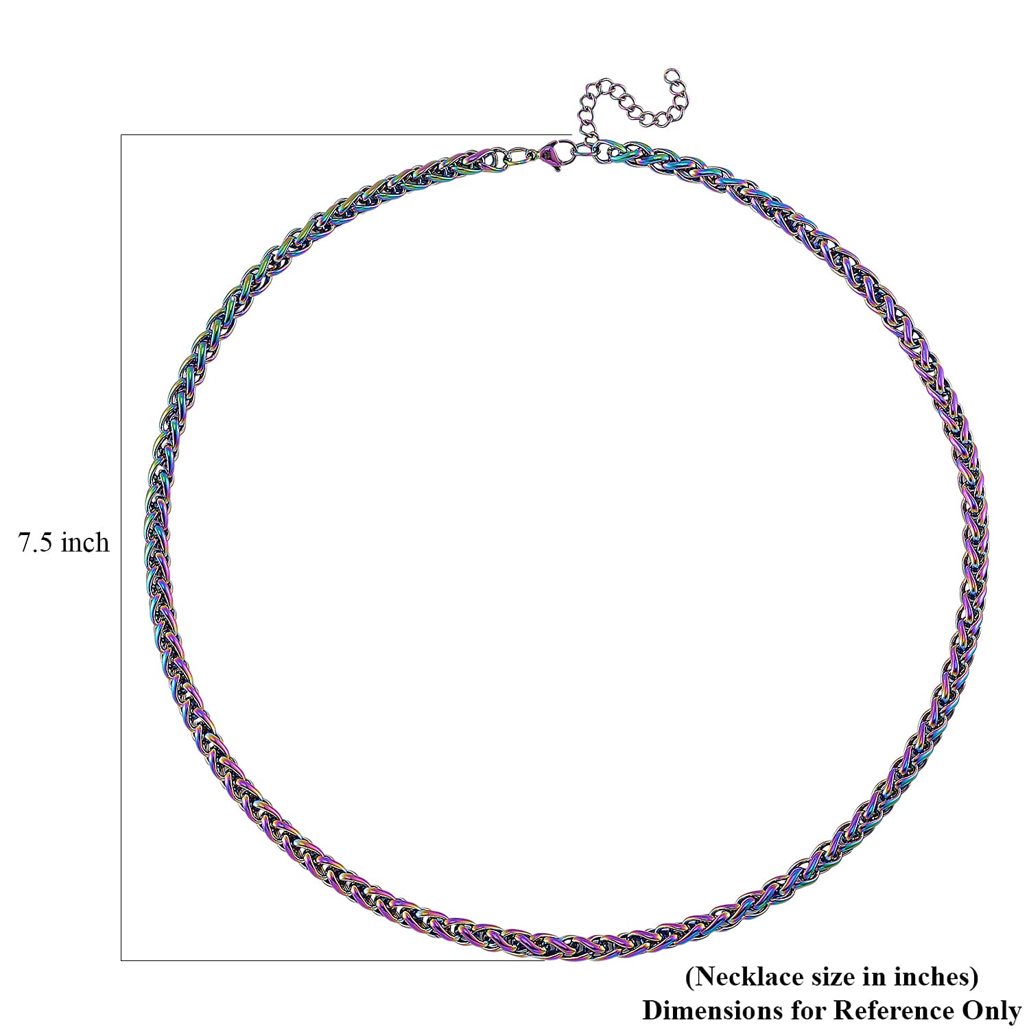 Spiga Chain Necklace in ION Plated Rainbow Stainless Steel 22-24 Inches