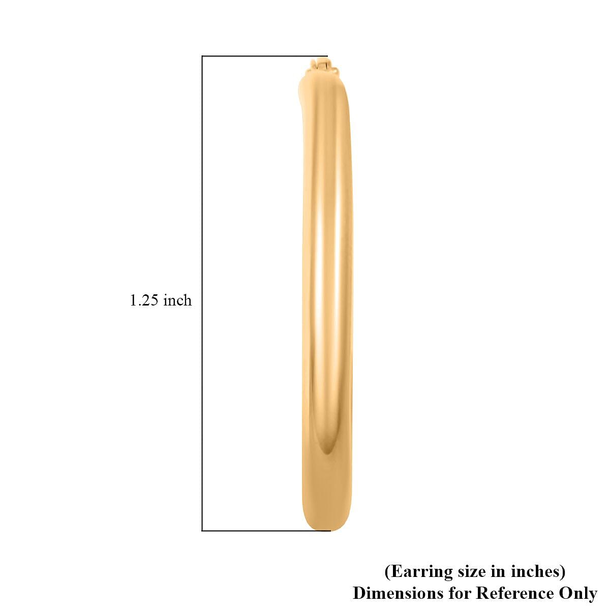 14K Yellow Gold 30.4x2.9mm Hoop Earrings 2.60 Grams
