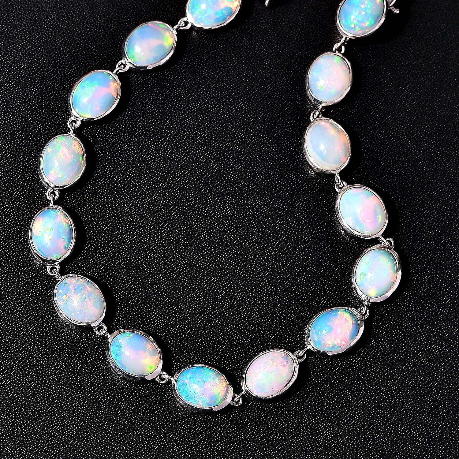 Dolphin / 6.5 Inches - Product card gallery slide 2 (10145843413275)