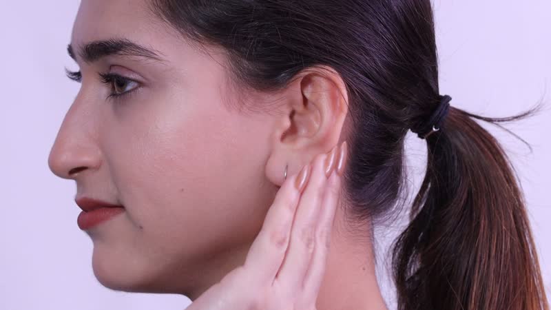 Elite Shungite and Orissa Rhodolite Garnet 5.20 ctw Lever Back Earrings in Stainless Steel