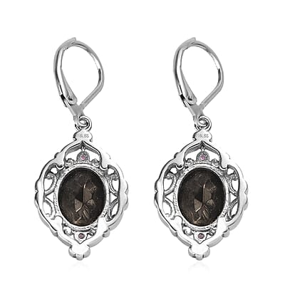 Elite Shungite and Orissa Rhodolite Garnet 5.20 ctw Lever Back Earrings in Stainless Steel
