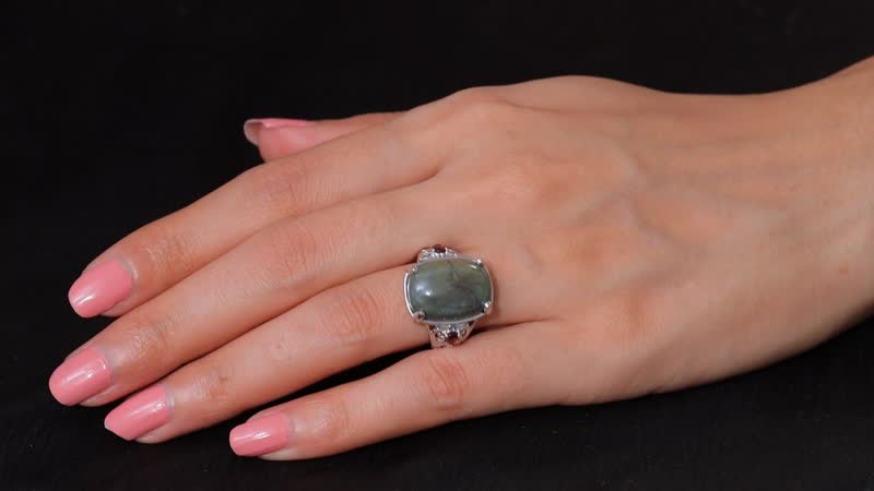 Karis Venus Jasper and Mozambique Garnet 14.30 ctw Ring in Platinum Bond (Size 10.0)