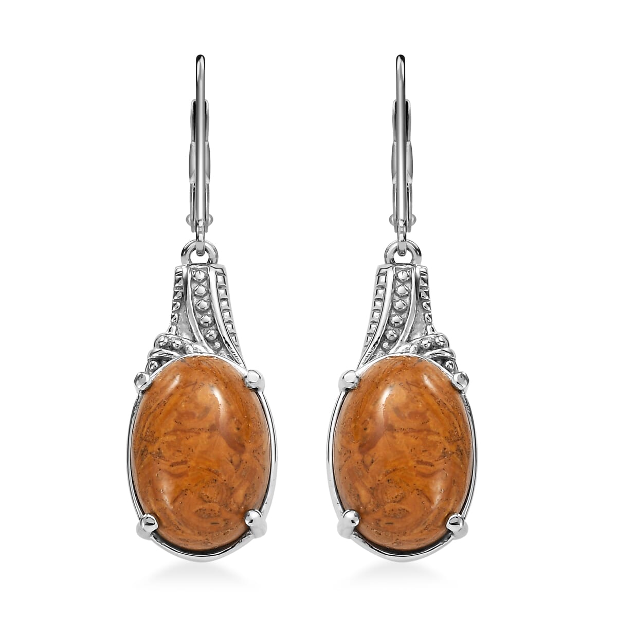 Script Stone 12.30 ctw Earrings in Stainless Steel  image number 0