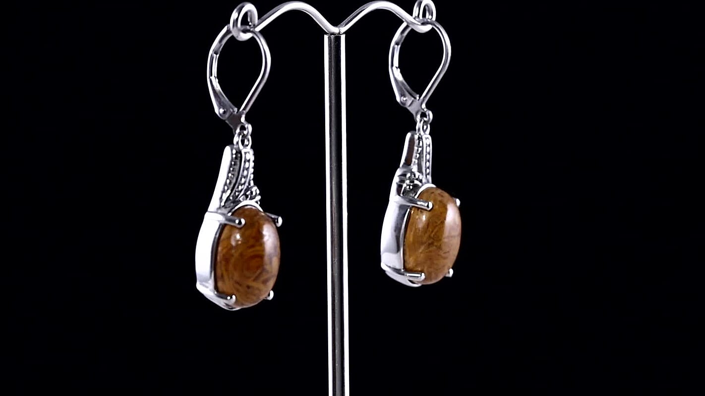 Script Stone 12.30 ctw Earrings in Stainless Steel