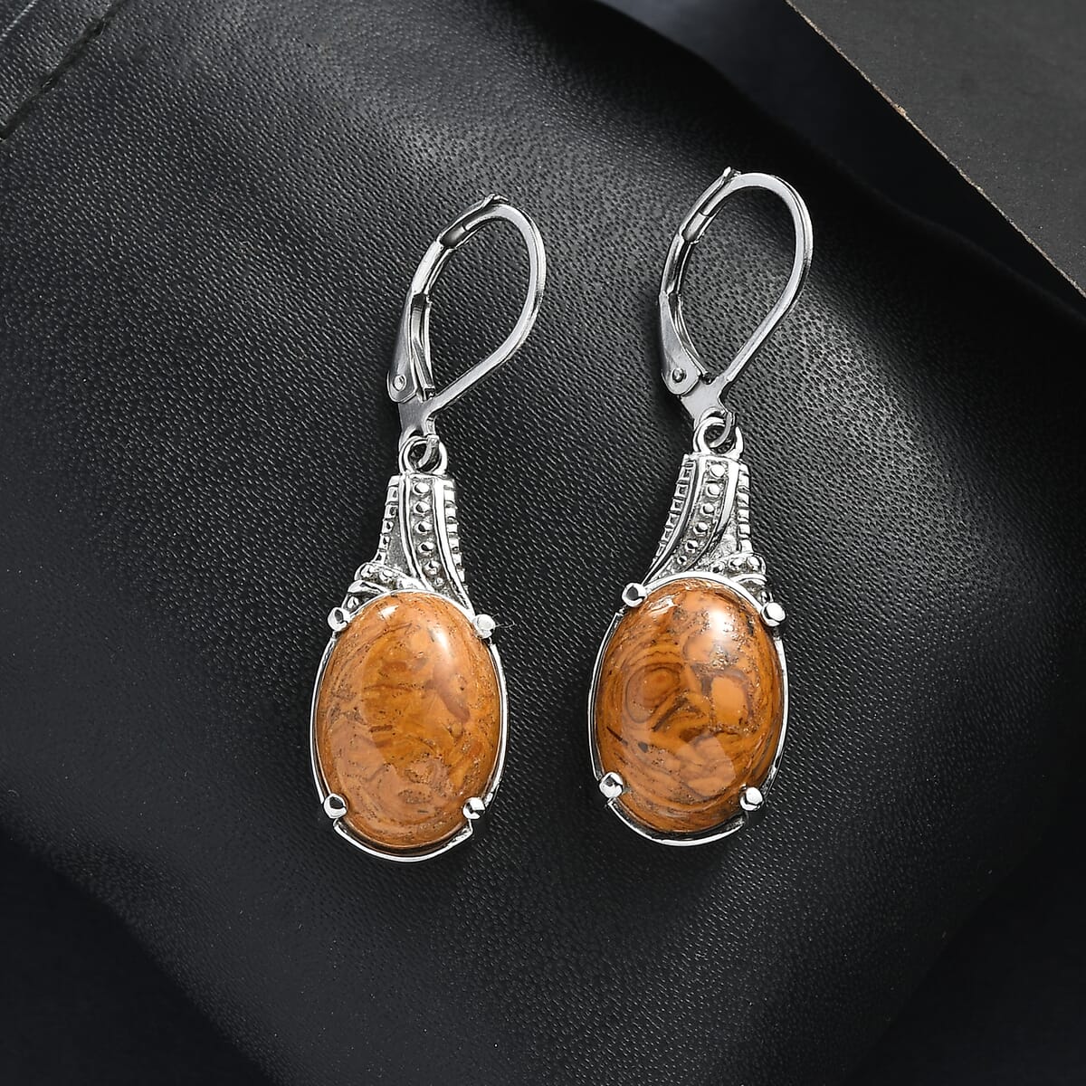 Script Stone 12.30 ctw Earrings in Stainless Steel  image number 1