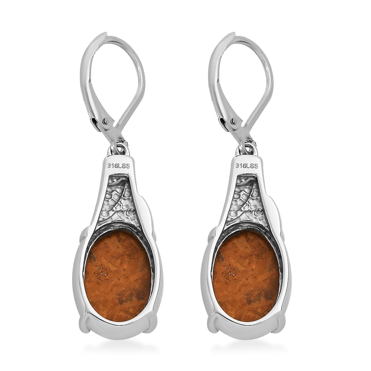 Script Stone 12.30 ctw Earrings in Stainless Steel  image number 4
