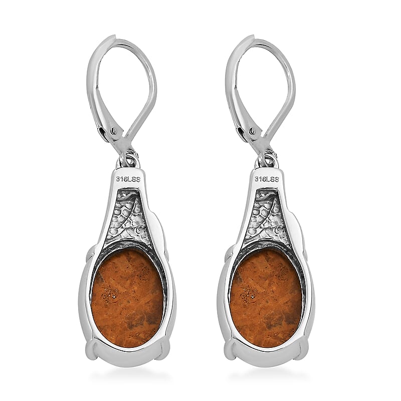 Script Stone 12.30 ctw Earrings in Stainless Steel 