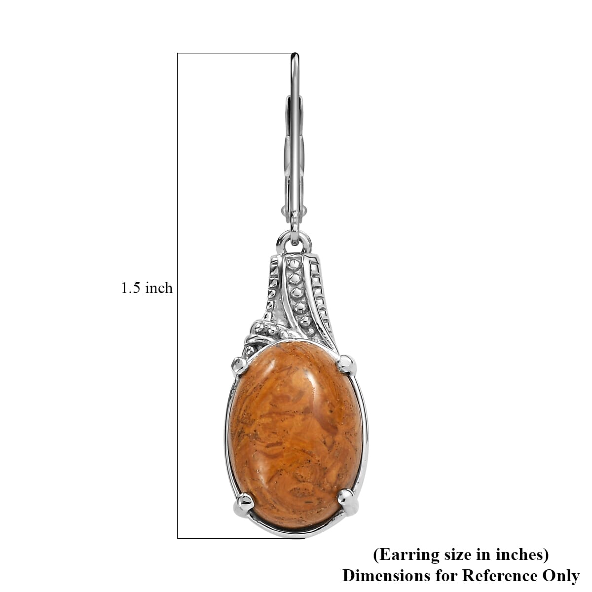 Script Stone 12.30 ctw Earrings in Stainless Steel  image number 5