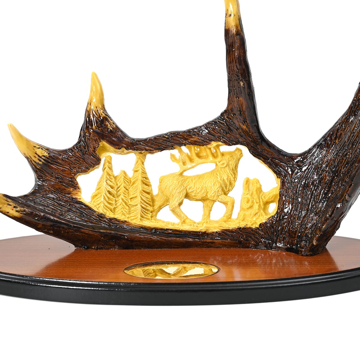 Yellow Wildlife Stainless Steel Blade Knife with Holder image number 7