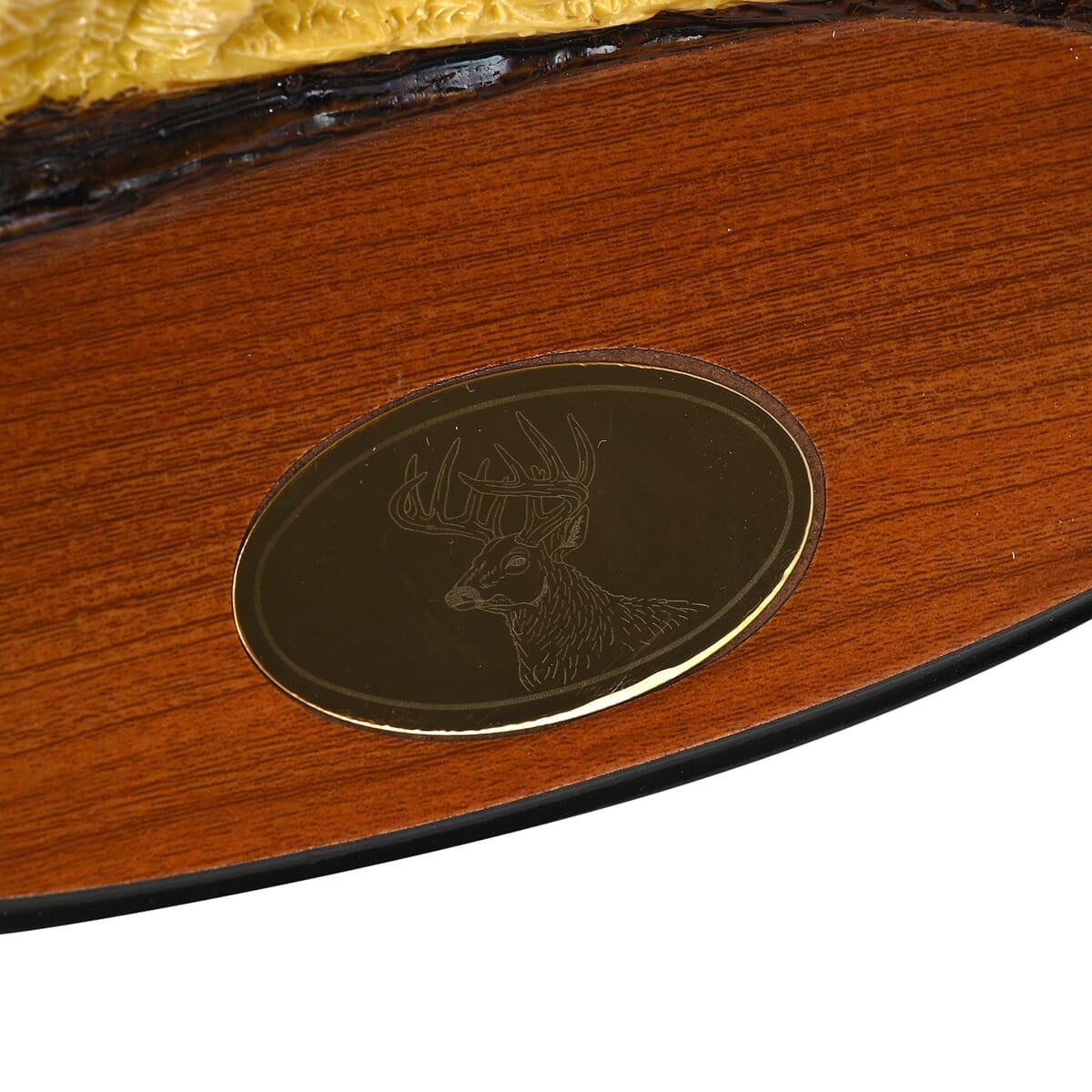 Yellow Wildlife Stainless Steel Blade Knife with Holder image number 8