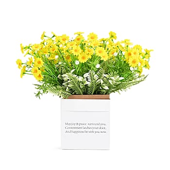 Yellow - Product card gallery slide 3 (10177839989049)