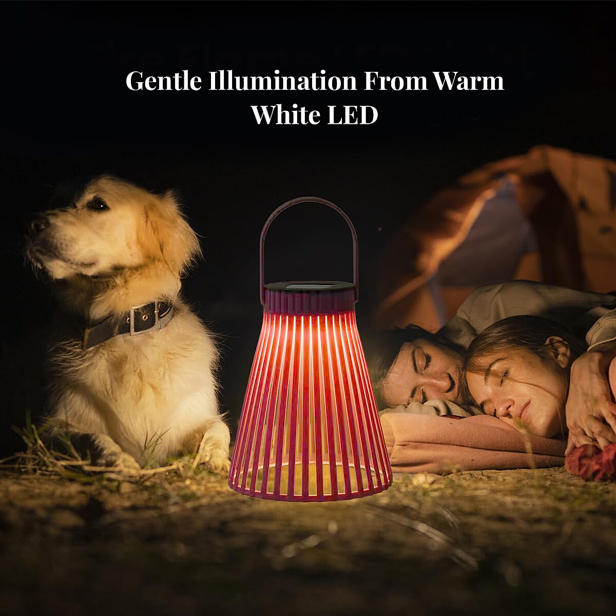 2 Piece Set - Purple Solar LED Light (200mAh) image number 2