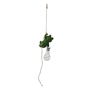 Frog - Product card gallery slide 2 (10177841398073)