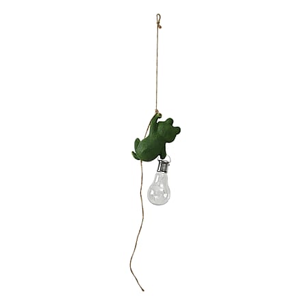 Frog - Product card gallery slide 2 (10177841398073)