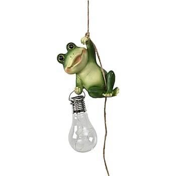 Frog - Product card gallery slide 3 (10177841398073)